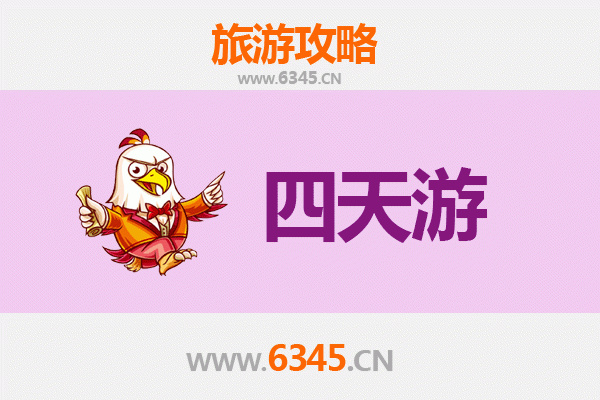 东营四天三夜深度游攻略：黄河入海奇观与生态湿地之旅