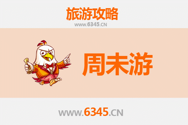 东营周末游攻略：黄河入海口与湿地生态的完美邂逅
